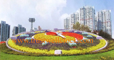 floral clock 4m diameters,flower clock,5m diameter,floral clocks 6m diameter,floral clock 7m diameter,slave wall clocks